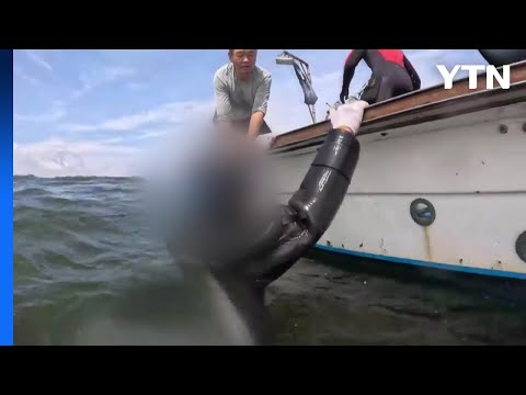 충남 태안 인근 해상 잠수부 실종...35분 만에 구조 / YTN https://bbs.opparadise.com/data/apms/video/youtube/M1oZFZBMuzU.jpg 충남 태안 인근 해상 잠수부 실종...35분 만에 구조 / YTN