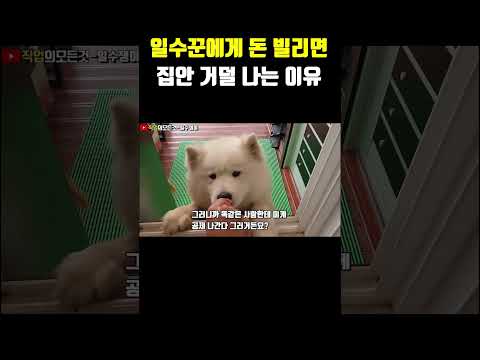 일수꾼에게 돈 빌리면 집안 거덜 나는 이유