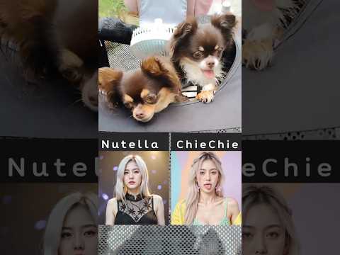 PriZZilA in the Real World #cutegirl  #chihuahua #officialmusicvideo #aiart #aiartist #cafe #jpop