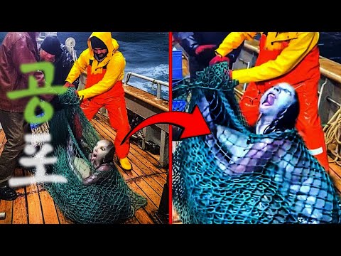 인어였을까요? https://bbs.opparadise.com/data/apms/video/youtube/MggqCOILfBc.jpg 인어였을까요?