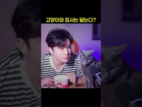곽두필네 고양이 | 집사와 고양이는 닮는다 https://bbs.opparadise.com/data/apms/video/youtube/MtWXIiIt2Z8.jpg 곽두필네 고양이 | 집사와 고양이는 닮는다