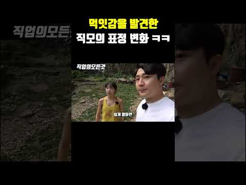 먹잇감을 발견한 직모의 표정 변화 ㅋㅋ