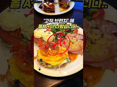 '고작'이라 생각해온 '브런치' 최초 올 A+ 맛집