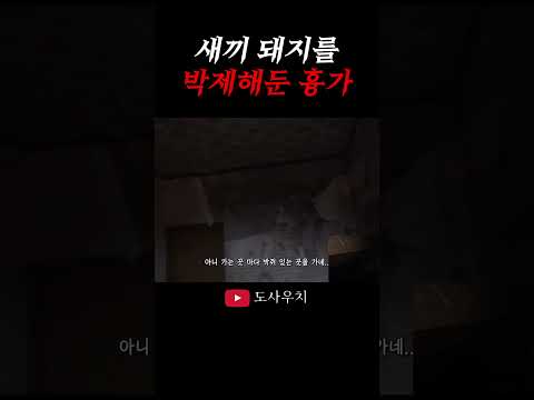 새끼 돼지를 박제한 흉가.. 목에 뭘 걸어둔거야..?