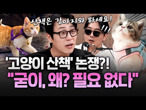 고양이 산책 시켜도 되나요?  “굳이, 왜, 산책을 시키세요?” #고양이를부탁해