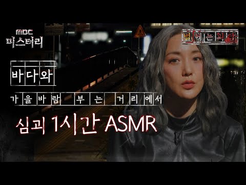 [별 헤는 괴담] 바다과 바다와 가을바람 부는 거리에서 심괴 1시간 ASMR #심괴 #어둑시니 #midnight #horrorstory MBC220623방송