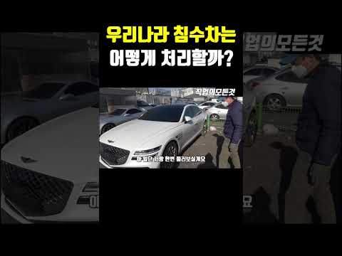 우리나라 침수차는 어떻게 처리할까?