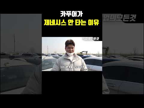 카푸어가 제네시스 안 타는 이유