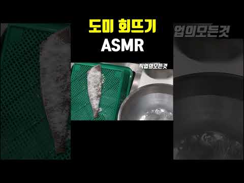 도미 회뜨기 ASMR