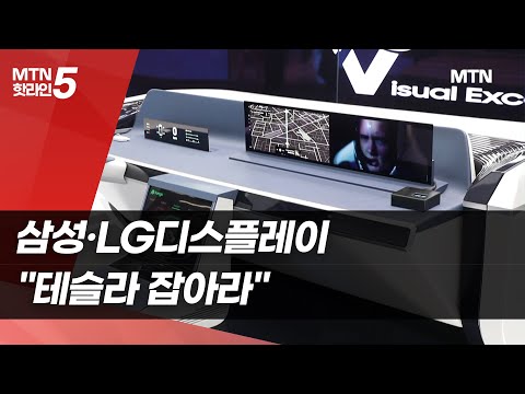 삼성·LG디스플레이, 차량용 OLED 시장 공략..테슬라에 누가 먼저? / 머니투데이방송 (뉴스)