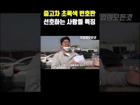 중고차 초록색 번호판 선호하는 사람들 특징