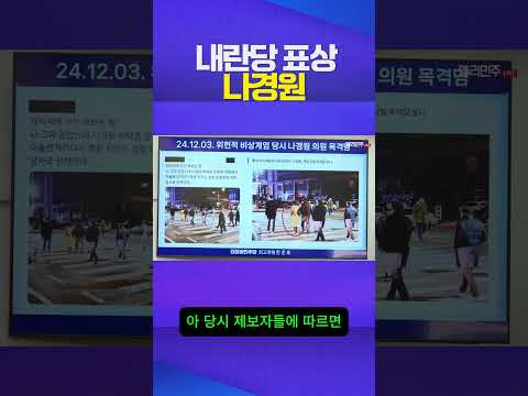 내란당 표상 #나경원