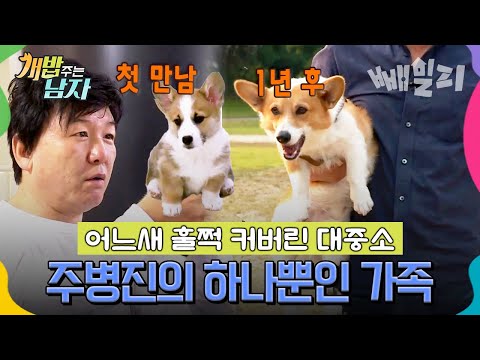 작은 웰시코기였던 대중소, 1년 만에 폭풍 성장?! 주병진의 든든한 진짜 가족 | #개밥주는남자 43회
