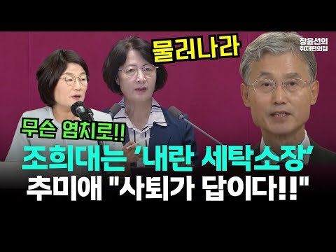추미애의 직격 "조희대는 내란범 세탁소장...사퇴가 답이다" #뉴스퀵배송