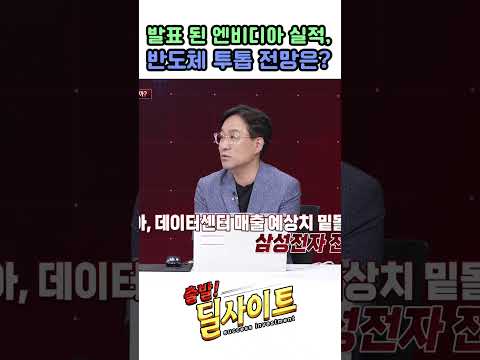 발표 된 엔비디아 실적, 반도체 투톱 전망은?