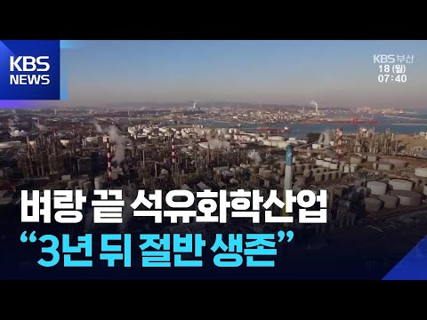 벼랑 끝 석유화학산업…“3년 뒤 절반 생존” / KBS 2025.08.18. https://bbs.opparadise.com/data/apms/video/youtube/TEy5R85G1i4.jpg 벼랑 끝 석유화학산업…“3년 뒤 절반 생존” / KBS 2025.08.18.