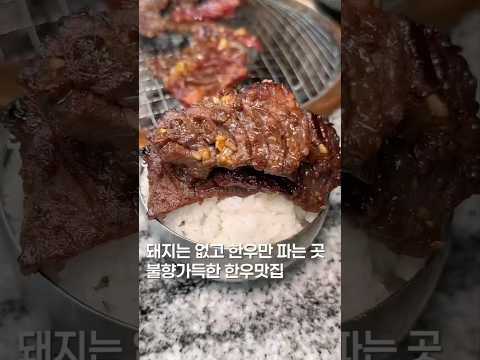한우만 판다는 반만 불고기라는 집? #shortsvideo #맛집 #한국의맛 #맛집소개유투버 #koreanfood  #shortsvideo #한우 #소고기 #맛집리뷰 #