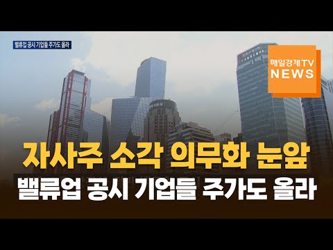 자사주 소각 의무화 눈앞…밸류업 공시 기업들 주가도 올라