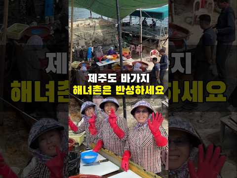 지도에도 안나오는 비밀스러운 해녀촌
