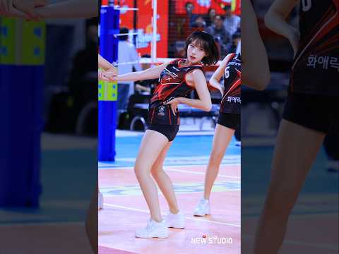 " 이악물고 찍는다!!!! " 251112 하지원 치어리더 직캠