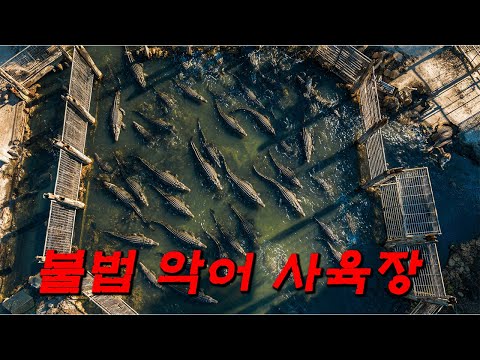 러시아 마피아들이 시체를 처리하는 ≪잔혹한 방법≫ [영화 스토리텔링]