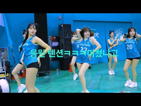 " 보아라 이것이 텐션이다! " 251117 하나은행 치어리더 직캠
