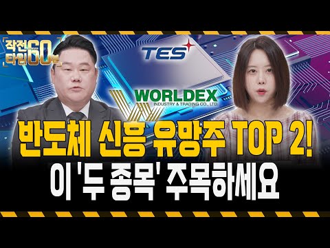 삼성전자 l SK하이닉스 말고 살만한 반도체주! 꼭 담아둬야야 할 반도체 저평가주 TOP 2는?