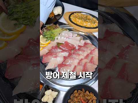 방어 제철 시작된 거 아시나요?