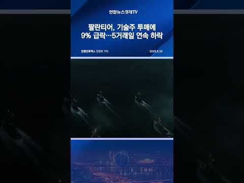 팔란티어, 기술주 투매에 9% 급락…5거래일 연속 하락