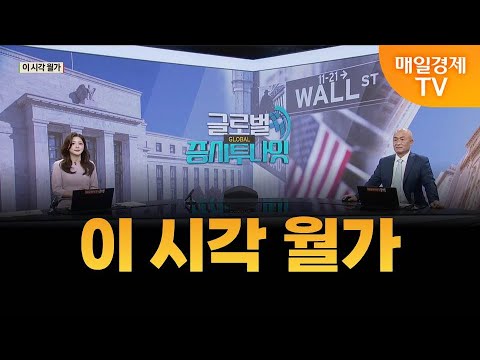 [글로벌 증시 투나잇] 이 시각 월가 / 황윤석 타이거인베스트 대표