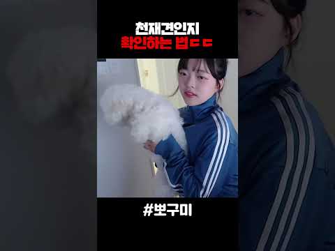 천재견인지 확인하는 법