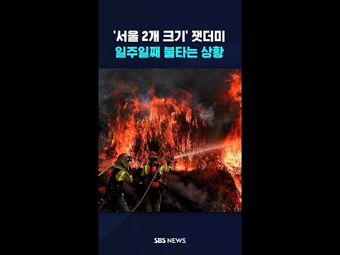 '서울 2개 크기' 잿더미…일주일째 불타는 상황 #shorts https://bbs.opparadise.com/data/apms/video/youtube/av5OKFs8TEI.jpg '서울 2개 크기' 잿더미…일주일째 불타는 상황 #shorts