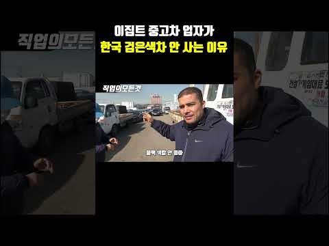 이집트 중고차 업자가 한국 검은색 차 안 사는 이유