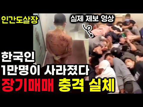 캄보디아 현지 정보원이 보내온 충격적인 현재 상황