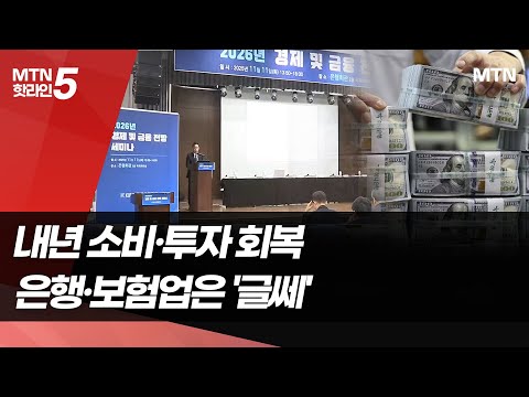 내년 은행·보험업 낙관 못해…금리 인하, 외환 변동성 악재 / 머니투데이방송 (뉴스)