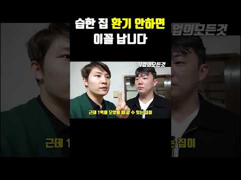 습한 집 환기 안 하면 이꼴 납니다 https://bbs.opparadise.com/data/apms/video/youtube/bOFfTEgJu7E.jpg 습한 집 환기 안 하면 이꼴 납니다