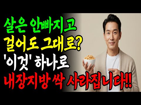 60대 이후 뱃살, 이 3가지만 바꾸면 빠집니다ㅣ운동 단식 없이 쉽게 실천하는 다이어트 비법ㅣ비만 걱정 끝!