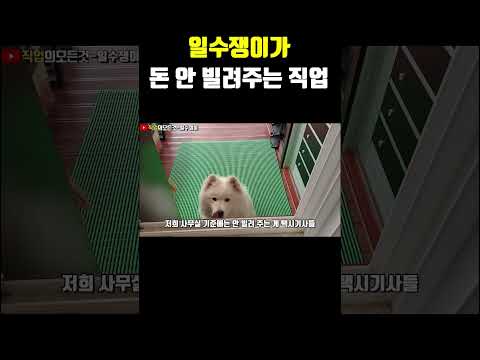 일수쟁이가 돈 안 빌려주는 직업