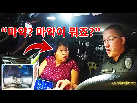 중국 아주머니 차량 정차 후 미국 경찰이 더 큰 비밀을 알아냈다!