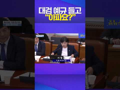 내가 정리해줄게요 #서영교 #대검찰청
