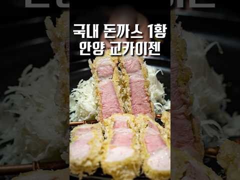 국내 돈까스의 정점 #shorts #맛집