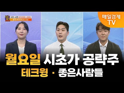 [사주팔자 보러와 2부] 월요일 시초가 공략주 / 테크윙 · 좋은사람들 / 곽유정 JW인베스트 대표 / 권영우 오리드홀딩스 대표