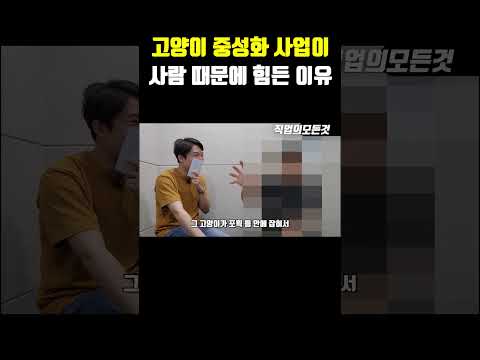 고양이 중성화 사업이 사람 때문에 힘든 이유