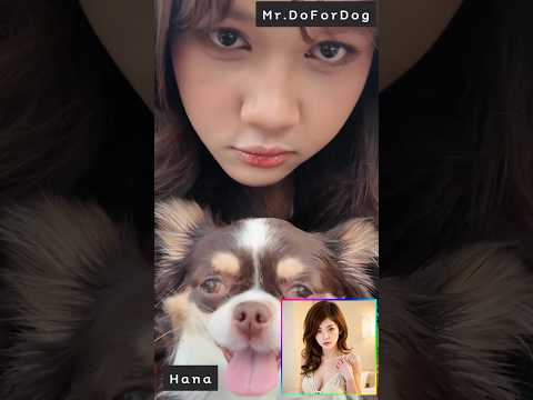 Mr.DoForDog walks with Hana (Vice Boss) & Rosa (Big Boss of PriZZilA) #chihuahua #cutegirl #aiartist