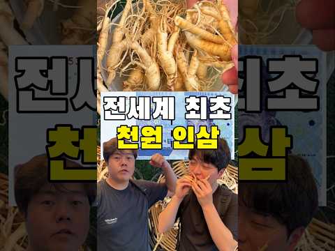 인삼을 천원주고 먹을 수 있다고요?