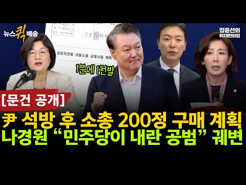 [문건 공개] 尹 석방 후 소총 200정 구매 계획-나경원 “민주당이 내란 공범” 궤변 #뉴스퀵배송 #전체영상