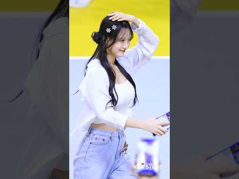 " 아기 강아지가 뛰어들어가는 모습 " 251111정설아치어리더