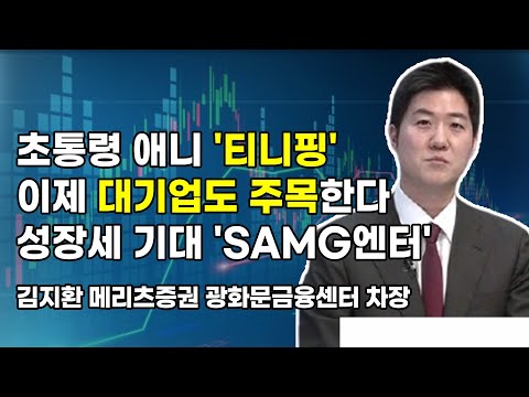 [머닝(Money-Ing)] 초통령 애니 '티니핑' 이제 대기업도 주목한다 성장세 기대 'SAMG엔터'  / 머니투데이방송 (증시, 증권)