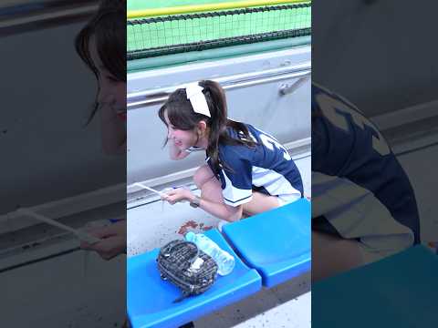 공 무서워서 재연하는 이주은(Lee Ju-Eun[李珠珢])치어리더