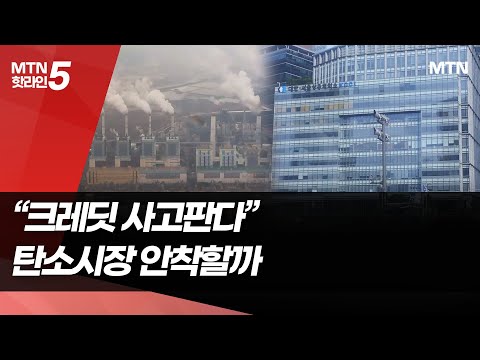 '자발적 탄소시장' 드라이브…과제는? [기후전투 ⑭] / 머니투데이방송 (뉴스)